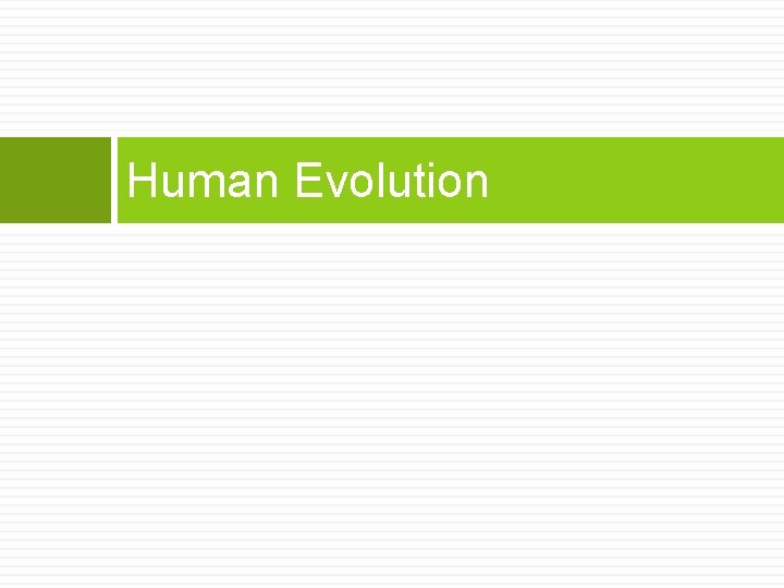 Human Evolution 