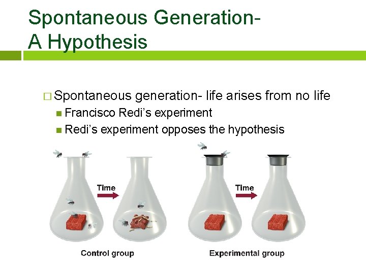 Spontaneous Generation. A Hypothesis � Spontaneous Francisco generation- life arises from no life Redi’s