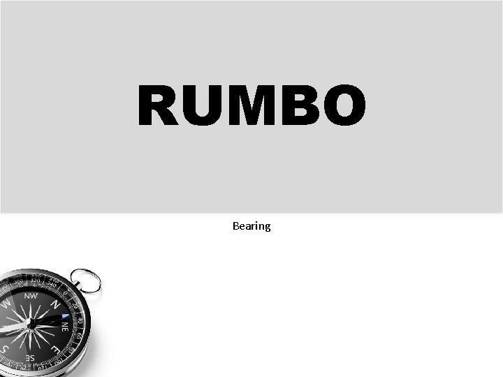 RUMBO Bearing 
