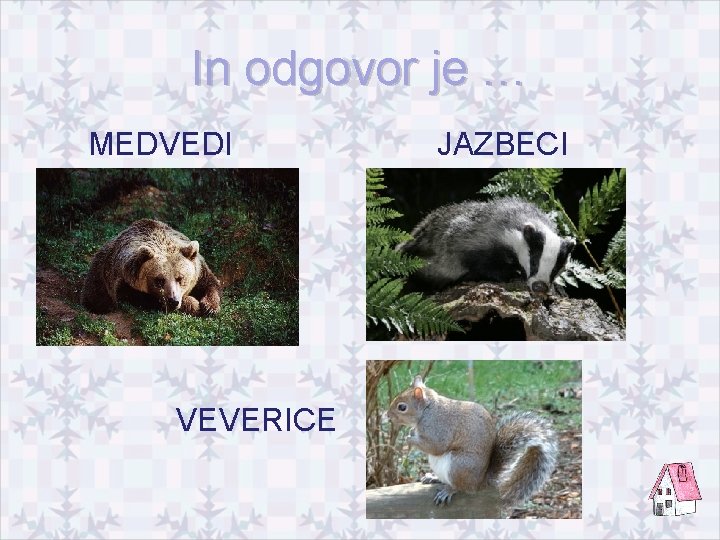 In odgovor je … MEDVEDI VEVERICE JAZBECI 