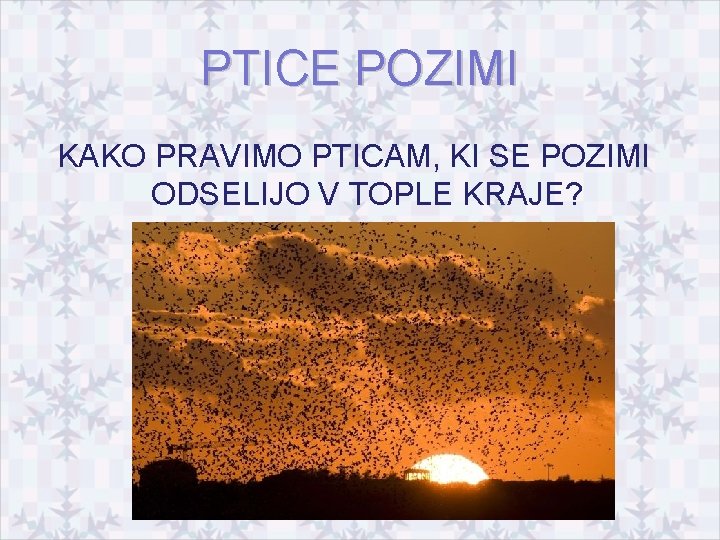 PTICE POZIMI KAKO PRAVIMO PTICAM, KI SE POZIMI ODSELIJO V TOPLE KRAJE? 