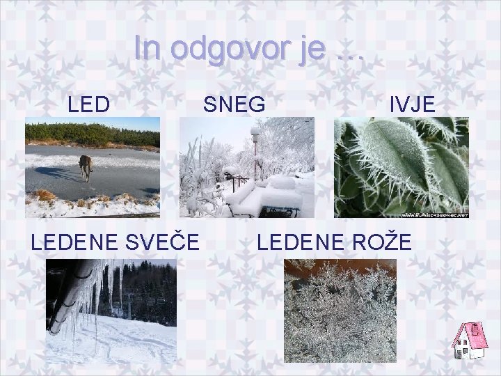 In odgovor je … LEDENE SVEČE SNEG IVJE LEDENE ROŽE 