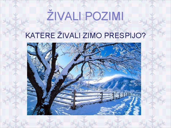 ŽIVALI POZIMI KATERE ŽIVALI ZIMO PRESPIJO? 