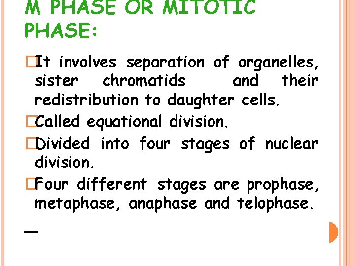 M PHASE OR MITOTIC PHASE: �It involves separation of organelles, sister chromatids and their