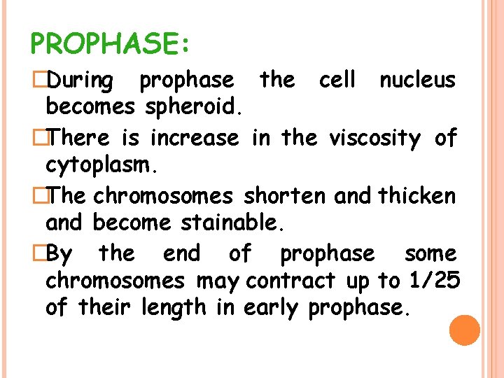 PROPHASE: �During prophase the cell nucleus becomes spheroid. �There is increase in the viscosity