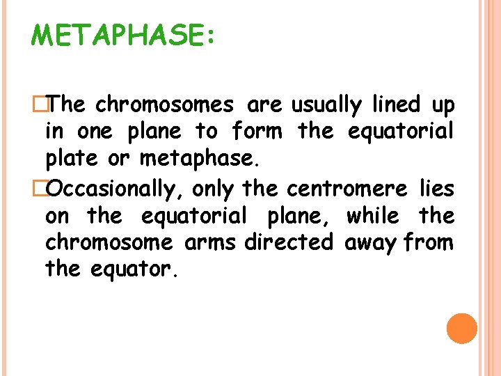 METAPHASE: �The chromosomes are usually lined up in one plane to form the equatorial