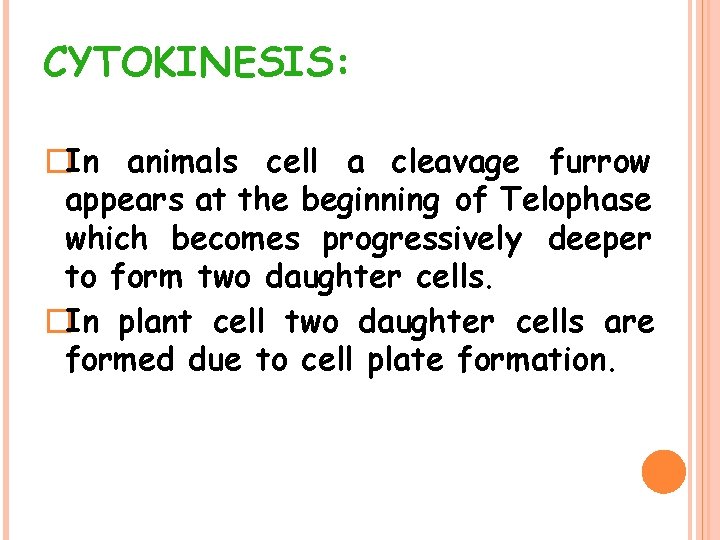 CYTOKINESIS: �In animals cell a cleavage furrow appears at the beginning of Telophase which