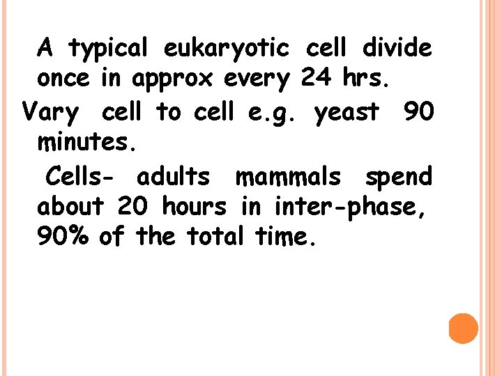 A typical eukaryotic cell divide once in approx every 24 hrs. Vary cell to