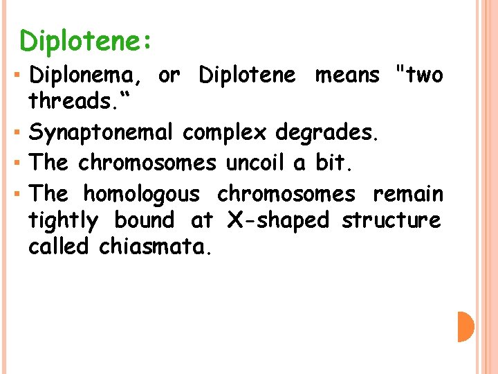 Diplotene: ▪ Diplonema, or Diplotene means "two threads. “ ▪ Synaptonemal complex degrades. ▪