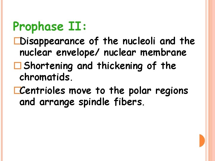 Prophase II: �Disappearance of the nucleoli and the nuclear envelope/ nuclear membrane � Shortening