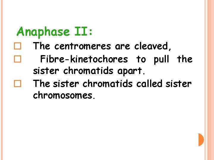 Anaphase II: � � � The centromeres are cleaved, Fibre-kinetochores to pull the sister