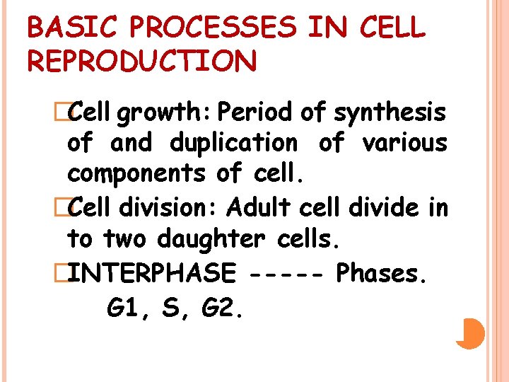 BASIC PROCESSES IN CELL REPRODUCTION �Cell growth: Period of synthesis of and duplication of