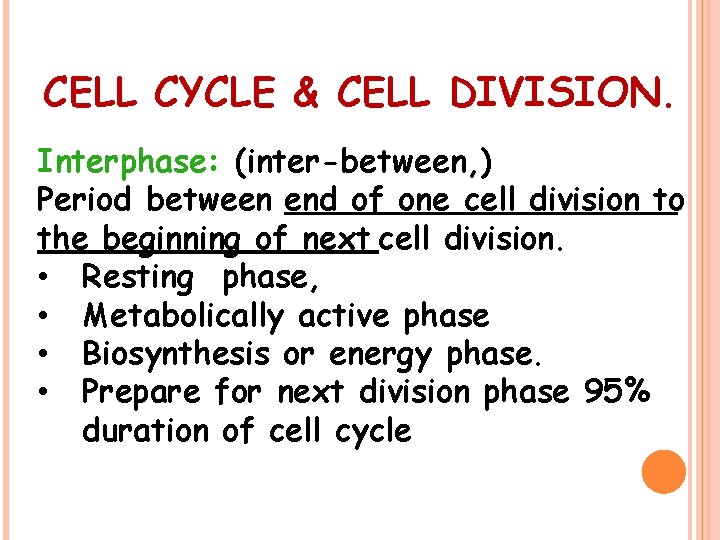 CELL CYCLE & CELL DIVISION. Interphase: (inter-between, ) Period between end of one cell