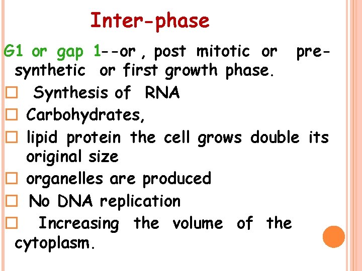 Inter-phase G 1 or gap 1 --or , post mitotic or presynthetic or first