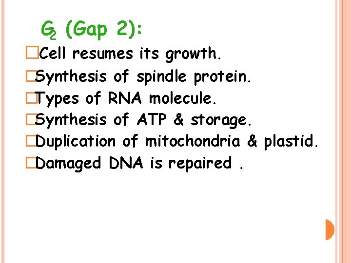 G 2 (Gap 2): �Cell resumes its growth. �Synthesis of spindle protein. �Types of