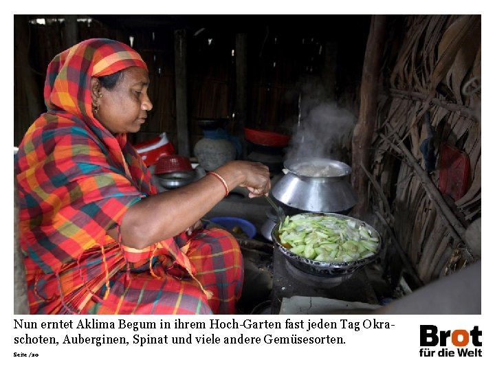 Nun erntet Aklima Begum in ihrem Hoch-Garten fast jeden Tag Okraschoten, Auberginen, Spinat und