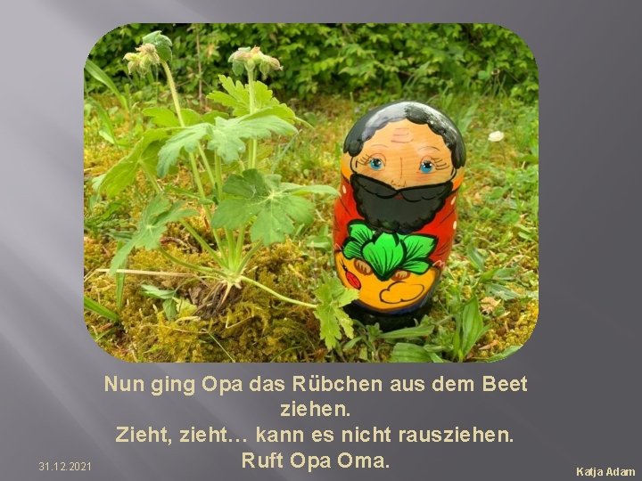 31. 12. 2021 Nun ging Opa das Rübchen aus dem Beet ziehen. Zieht, zieht…