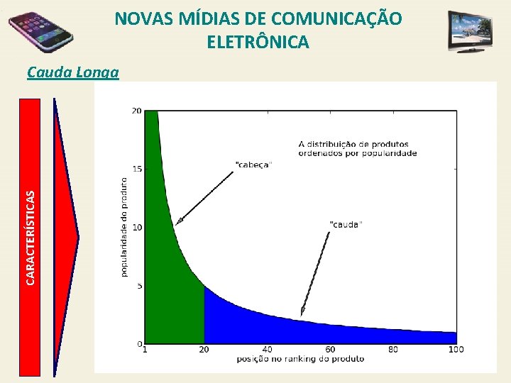 NOVAS MÍDIAS DE COMUNICAÇÃO ELETRÔNICA CARACTERÍSTICAS Cauda Longa 