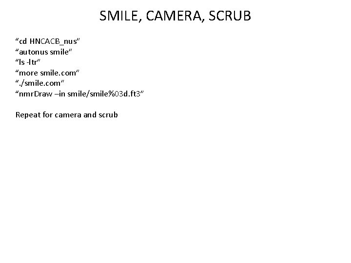 SMILE, CAMERA, SCRUB “cd HNCACB_nus” “autonus smile” “ls -ltr” “more smile. com” “. /smile.