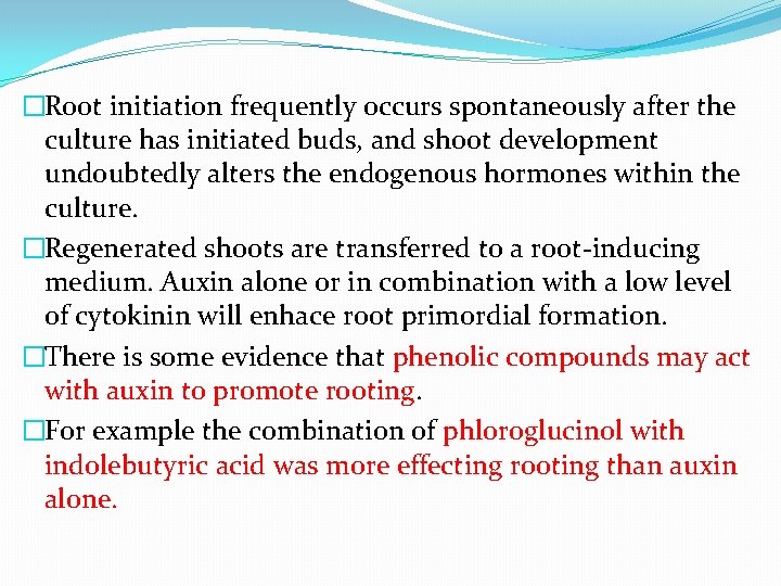 �Root initiation frequently occurs spontaneously after the culture has initiated buds, and shoot development