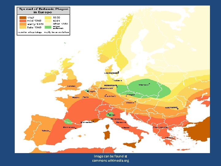 Image can be found at commons. wikimedia. org 