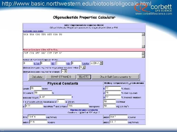http: //www. basic. northwestern. edu/biotools/oligocalc. html corbett LIFE SCIENCE www. corbettlifescience. com 14 http: //www. basic. northwestern. edu/biotools/oligocalc. html corbett LIFE SCIENCE www. corbettlifescience. com 14
