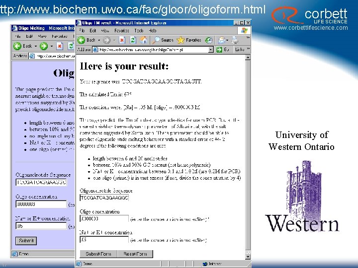 http: //www. biochem. uwo. ca/fac/gloor/oligoform. html corbett LIFE SCIENCE www. corbettlifescience. com University of http: //www. biochem. uwo. ca/fac/gloor/oligoform. html corbett LIFE SCIENCE www. corbettlifescience. com University of
