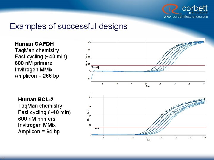corbett LIFE SCIENCE www. corbettlifescience. com Examples of successful designs Human GAPDH Taq. Man corbett LIFE SCIENCE www. corbettlifescience. com Examples of successful designs Human GAPDH Taq. Man