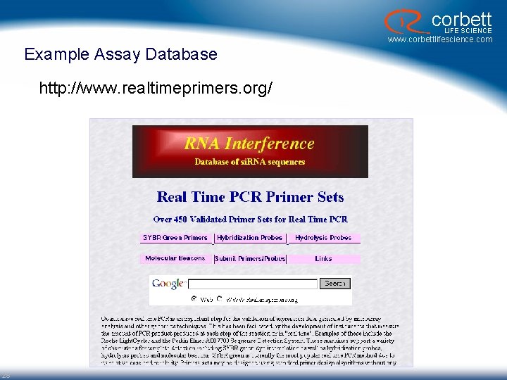 corbett LIFE SCIENCE www. corbettlifescience. com Example Assay Database http: //www. realtimeprimers. org/ 28 corbett LIFE SCIENCE www. corbettlifescience. com Example Assay Database http: //www. realtimeprimers. org/ 28