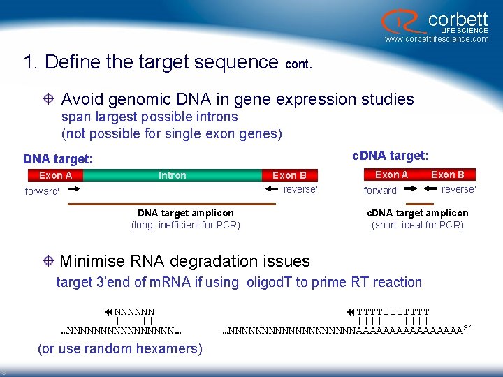 corbett LIFE SCIENCE www. corbettlifescience. com 1. Define the target sequence cont. Avoid genomic corbett LIFE SCIENCE www. corbettlifescience. com 1. Define the target sequence cont. Avoid genomic