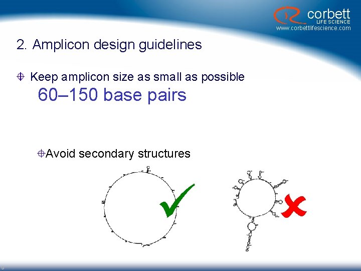 corbett LIFE SCIENCE www. corbettlifescience. com 2. Amplicon design guidelines Keep amplicon size as corbett LIFE SCIENCE www. corbettlifescience. com 2. Amplicon design guidelines Keep amplicon size as