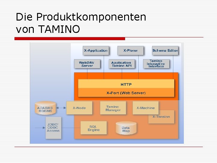 Die Produktkomponenten von TAMINO 