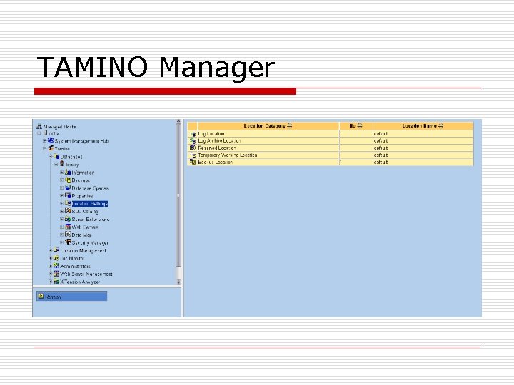 TAMINO Manager 