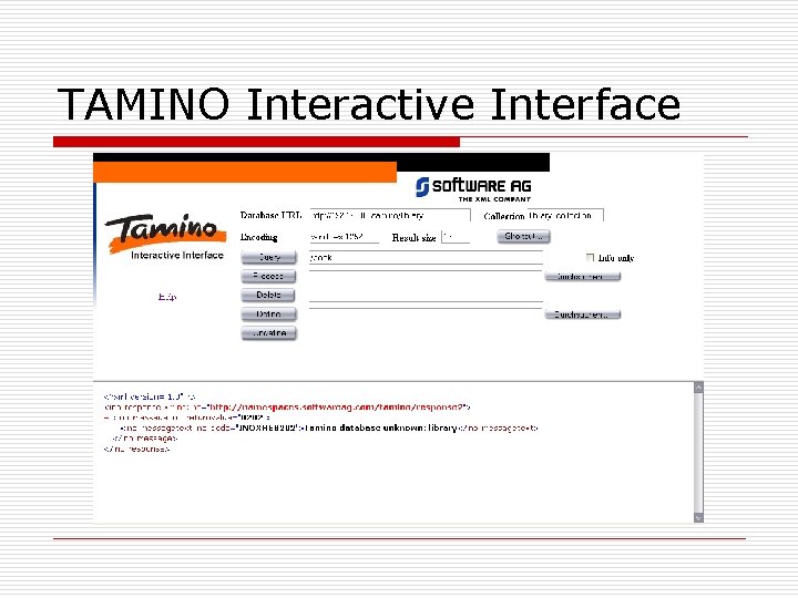 TAMINO Interactive Interface 