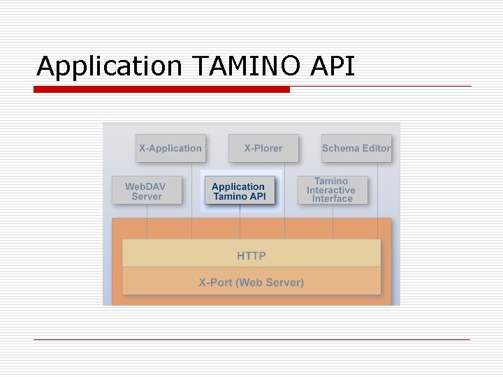 Application TAMINO API 