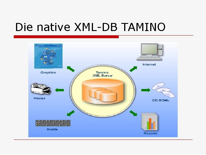 Die native XML-DB TAMINO 