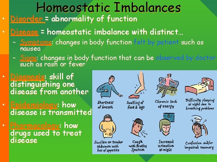 Homeostatic Imbalances • Disorder = abnormality of function • Disease = homeostatic imbalance with