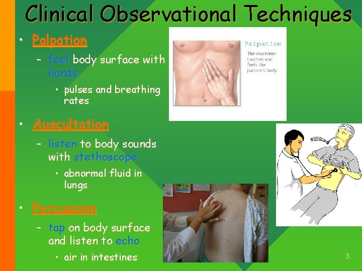 Clinical Observational Techniques • Palpation – feel body surface with hands • pulses and