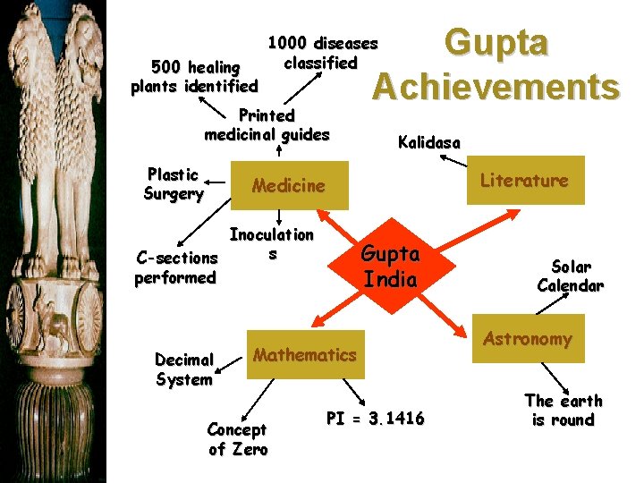 500 healing plants identified Printed medicinal guides Plastic Surgery Gupta Achievements 1000 diseases classified