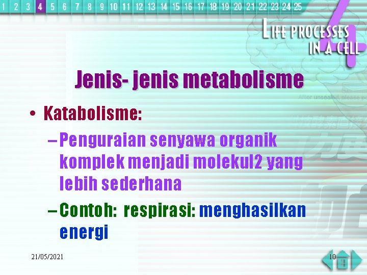 Jenis- jenis metabolisme • Katabolisme: – Penguraian senyawa organik komplek menjadi molekul 2 yang