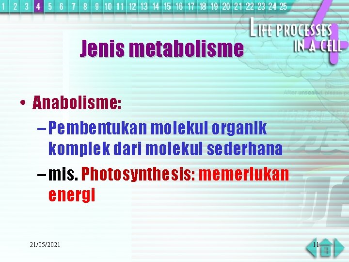 Jenis metabolisme • Anabolisme: – Pembentukan molekul organik komplek dari molekul sederhana – mis.