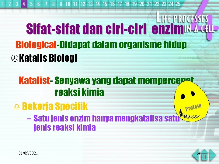 Sifat-sifat dan ciri-ciri enzim Biological-Didapat dalam organisme hidup >Katalis Biologi Katalist- Senyawa yang dapat