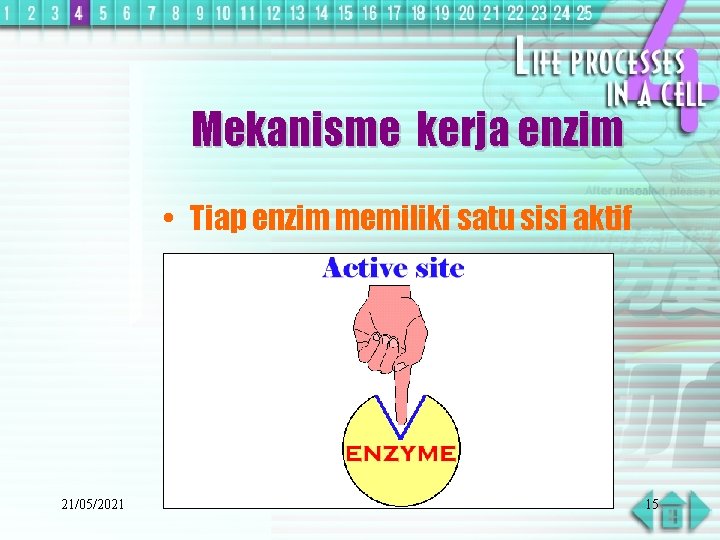 Mekanisme kerja enzim • Tiap enzim memiliki satu sisi aktif 21/05/2021 15 