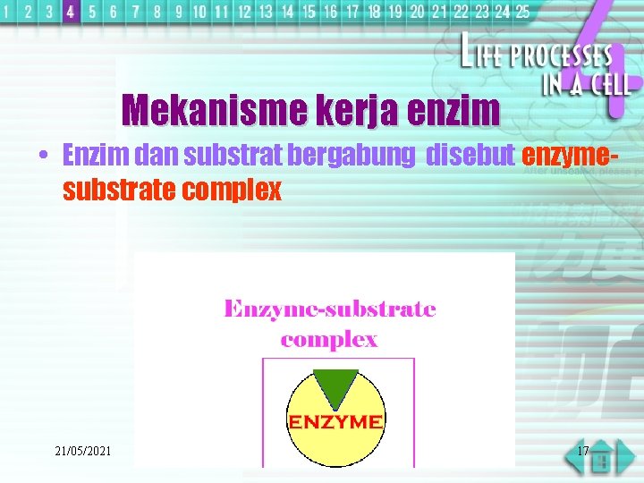 Mekanisme kerja enzim • Enzim dan substrat bergabung disebut enzymesubstrate complex 21/05/2021 17 