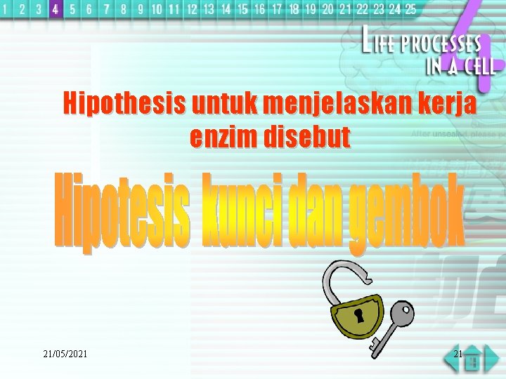 Hipothesis untuk menjelaskan kerja enzim disebut 21/05/2021 21 