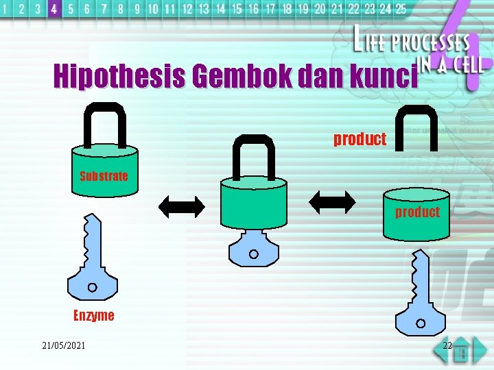 Hipothesis Gembok dan kunci product Substrate product Enzyme 21/05/2021 22 