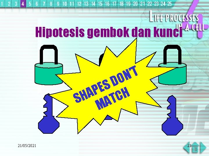 Hipotesis gembok dan kunci T ’ N O D S E P A H