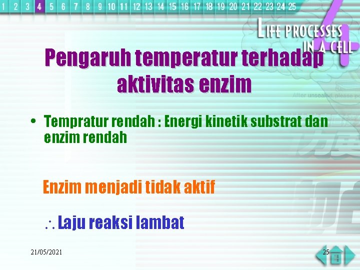 Pengaruh temperatur terhadap aktivitas enzim • Tempratur rendah : Energi kinetik substrat dan enzim