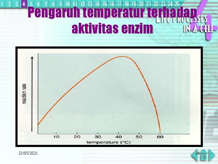 Pengaruh temperatur terhadap aktivitas enzim 21/05/2021 26 