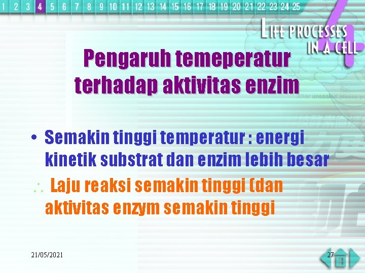 Pengaruh temeperatur terhadap aktivitas enzim • Semakin tinggi temperatur : energi kinetik substrat dan